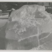 Cover image of [Cougar ice sculpture]
